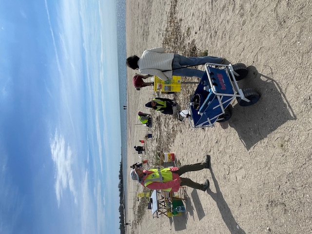 sherwood-island-grass-planting